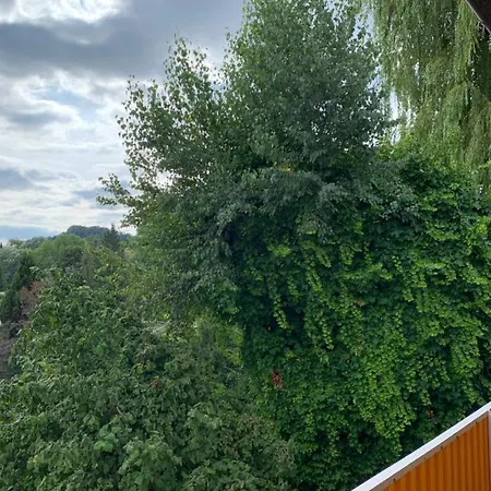 Apartament Blumenblick Rielasingen-Worblingen Exterior photo