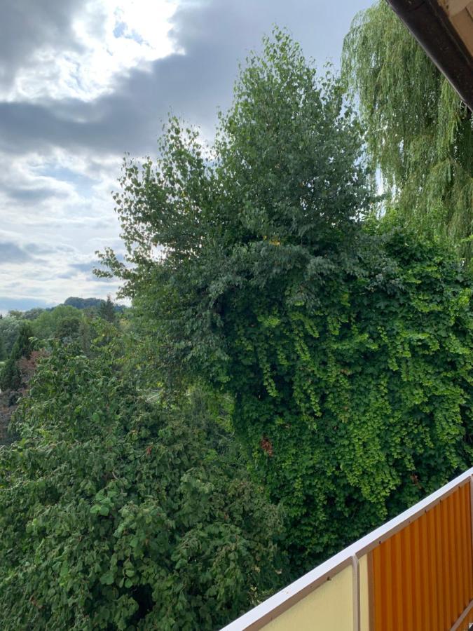 Blumenblick Apartment Rielasingen-Worblingen