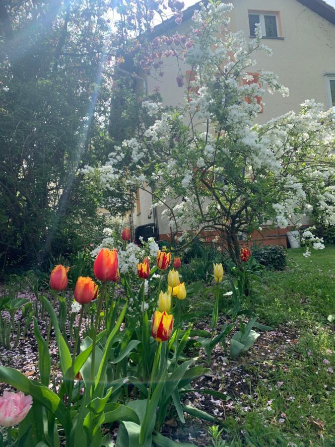 Blumenblick Rielasingen-Worblingen