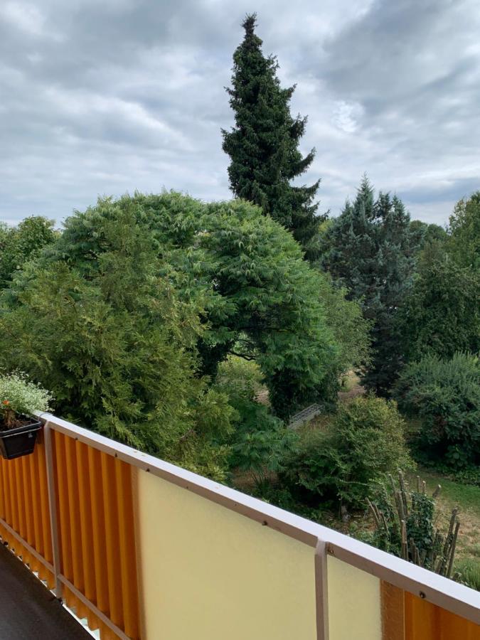 Blumenblick *