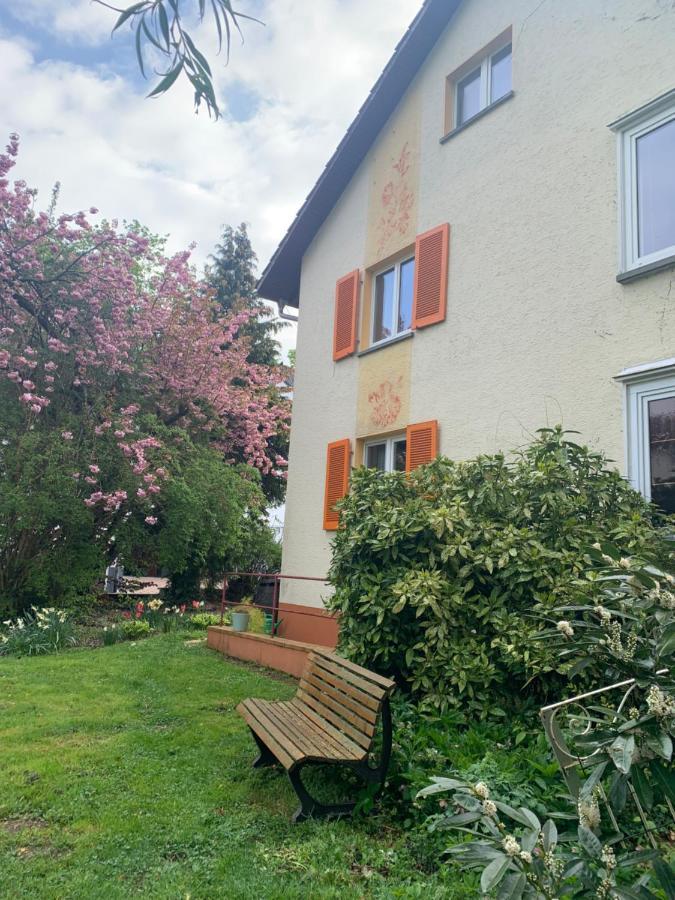 Blumenblick Apartment Rielasingen-Worblingen