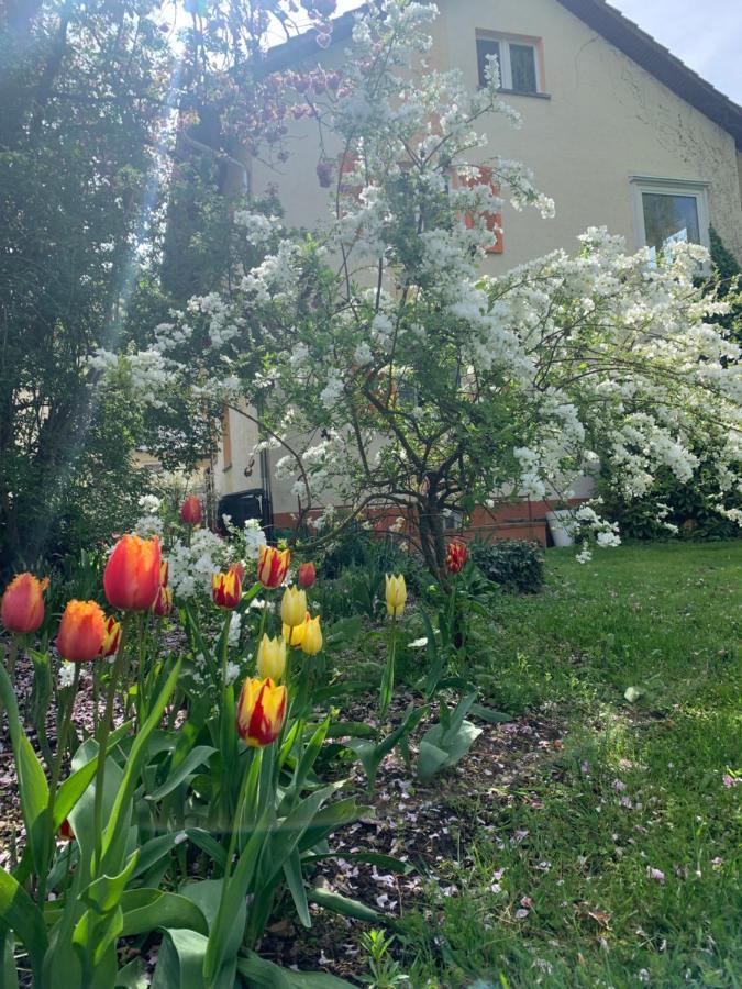 Apartment Blumenblick Rielasingen-Worblingen