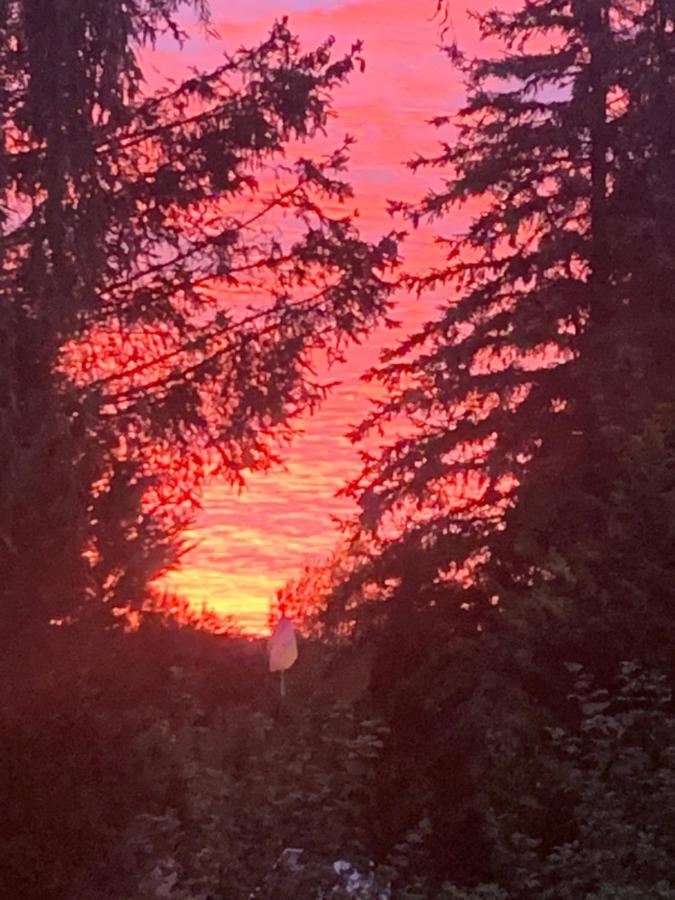 Blumenblick *