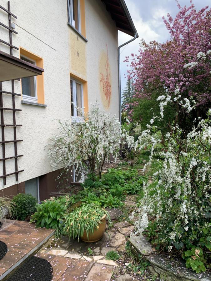 Blumenblick Apartment *