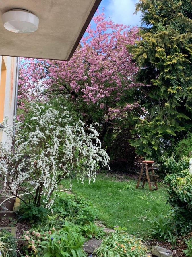 Blumenblick