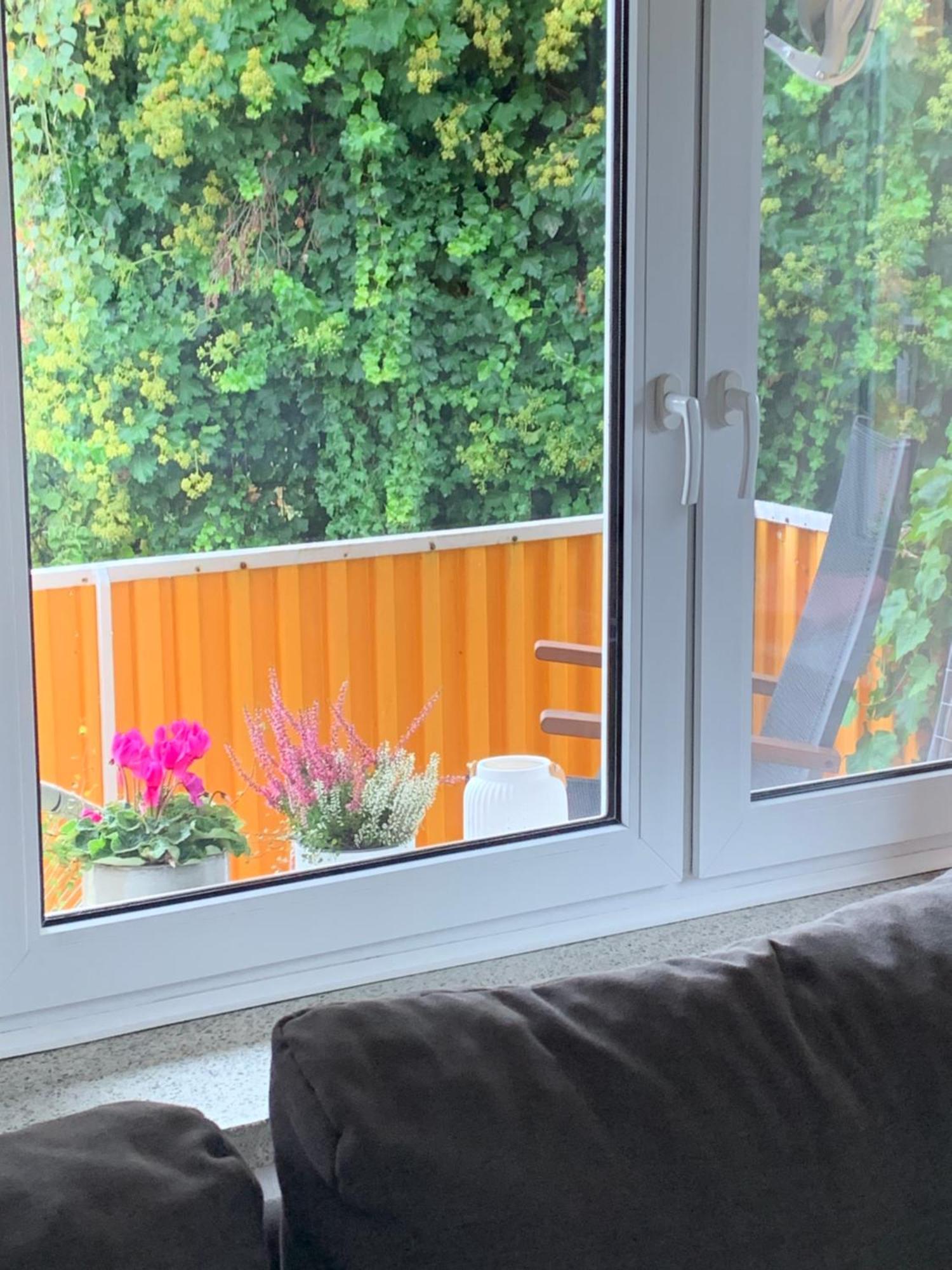 Blumenblick Rielasingen-Worblingen